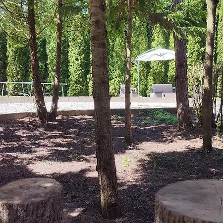 Királyos *